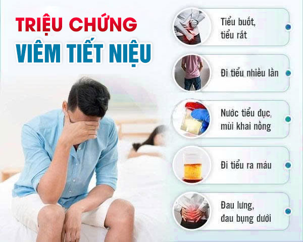 Dấu Hiệu Viêm Đường Tiết Niệu