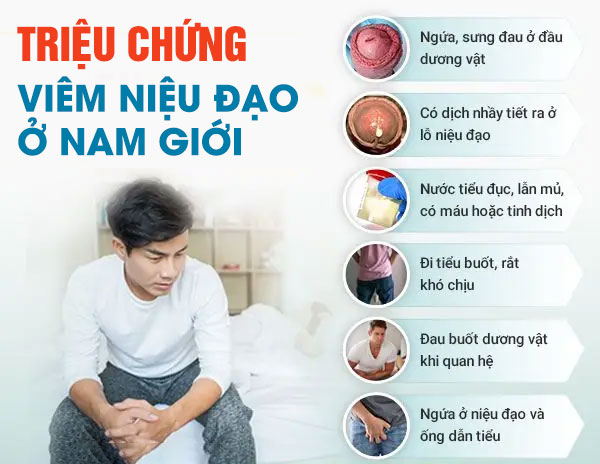 Dấu Hiệu Viêm Niệu Đạo Nam 