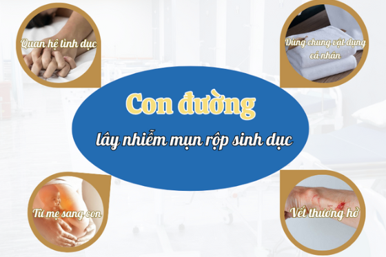 Nguyên Nhân Mụn Rộp Sinh Dục Ở Nam và Nữ