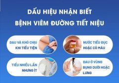 Nguyên nhân viêm đường tiết niệu ở nam giới và cách điều trị hiệu quả tối