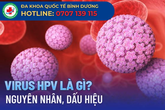 Virus HPV Là Gì? Nhận Biết HPV Như Thế Nào?