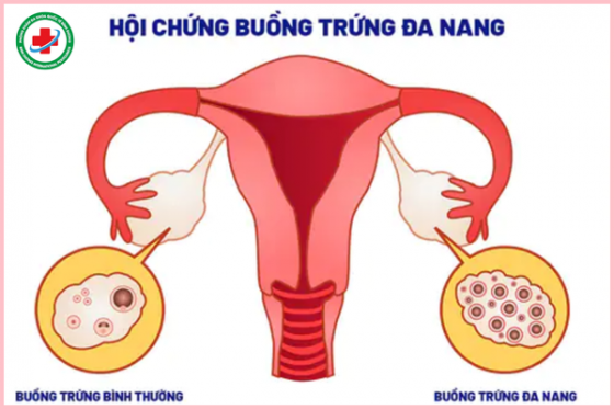 1 (30).png