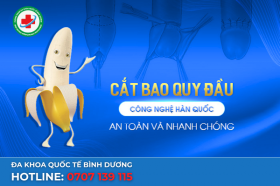 cat-bqd-hq2.png