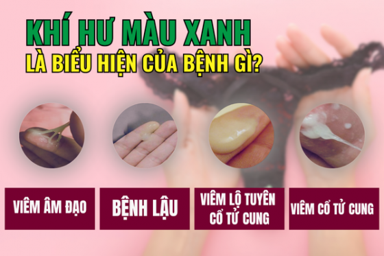 bxh (42).png
