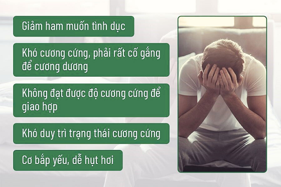 Thiết kế chưa có tên (1).png